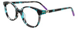 Teal Tortoise / Purple / Clear