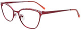 EasyClip Eyeglasses EC681 030