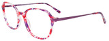 EasyClip Eyeglasses EC676 030