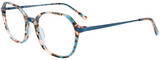 EasyClip Eyeglasses EC676 060