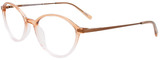 EasyClip Eyeglasses EC675 010