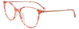 EasyClip Eyeglasses EC673 030