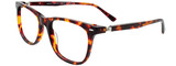 EasyClip Eyeglasses EC670 010