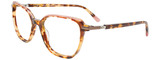 EasyClip Eyeglasses EC669 010