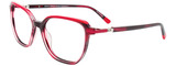 EasyClip Eyeglasses EC669 030