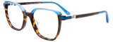 EasyClip Eyeglasses EC663 050