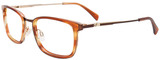 EasyClip Eyeglasses EC617 010