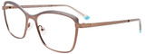 EasyClip Eyeglasses EC615 010