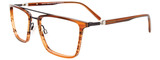 EasyClip Eyeglasses EC606 010