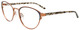 Sat Blk / Copper Brown Tort / Clear