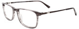 EasyClip Eyeglasses EC595 020