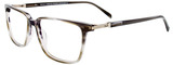 EasyClip Eyeglasses EC589 020