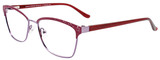 EasyClip Eyeglasses EC570 030