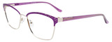 EasyClip Eyeglasses EC570 080