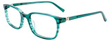 EasyClip Eyeglasses EC569 060