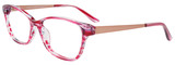 EasyClip Eyeglasses EC562 030