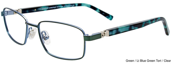 EasyClip Eyeglasses EC558 060