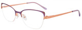 EasyClip Eyeglasses EC539 080