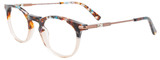 EasyClip Eyeglasses EC536 010