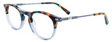 EasyClip Eyeglasses EC536 050