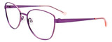 EasyClip Eyeglasses EC534 080