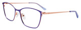 EasyClip Eyeglasses EC532 080