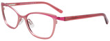 EasyClip Eyeglasses EC509 030