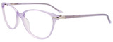 EasyClip Eyeglasses EC504 080