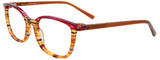 EasyClip Eyeglasses EC503 010