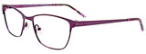 EasyClip Eyeglasses EC502 080