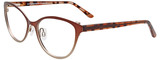 EasyClip Eyeglasses EC498 010