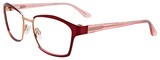 EasyClip Eyeglasses EC497 030