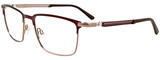 EasyClip Eyeglasses EC496 010