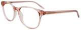 EasyClip Eyeglasses EC490 030