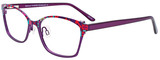 EasyClip Eyeglasses EC484 080