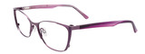 EasyClip Eyeglasses EC442 080