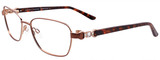 EasyClip Eyeglasses EC437 010