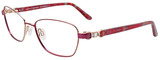 EasyClip Eyeglasses EC437 030