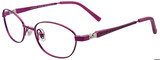 EasyClip Eyeglasses EC365 030