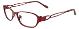 EasyClip Eyeglasses EC302 030