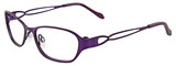 EasyClip Eyeglasses EC302 080