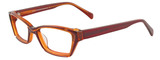 EasyClip Eyeglasses EC293 010