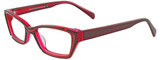 EasyClip Eyeglasses EC293 030