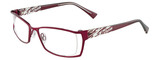 EasyClip Eyeglasses EC289 030