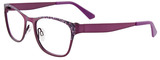 EasyClip Eyeglasses EC288 080