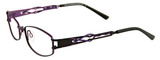 EasyClip Eyeglasses EC250 090