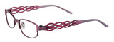 EasyClip Eyeglasses EC227 080