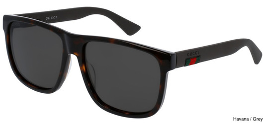 Gucci Sunglasses GG0010S 003