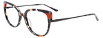 Paradox Eyeglasses P5077 010