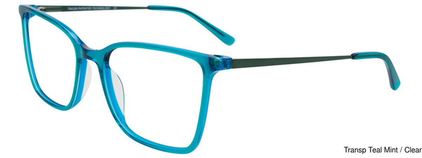 Takumi Eyeglasses TK1271 060